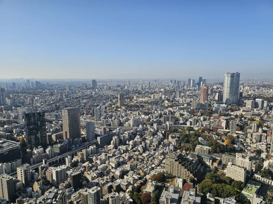 View from the top floor