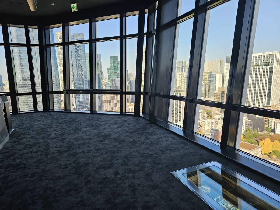 Main observation platform