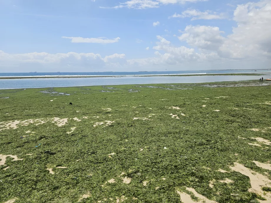 Coco Beach