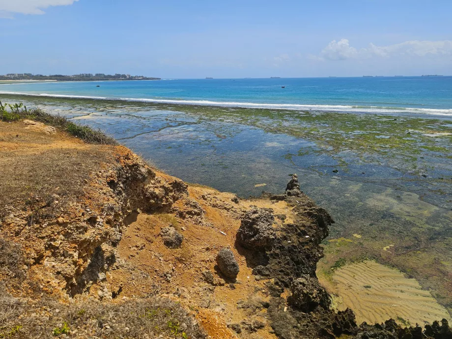Reefs near Coco Beach
