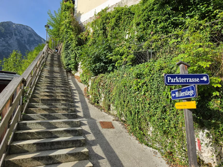 Stairs: the start of the trail up the Salzberg