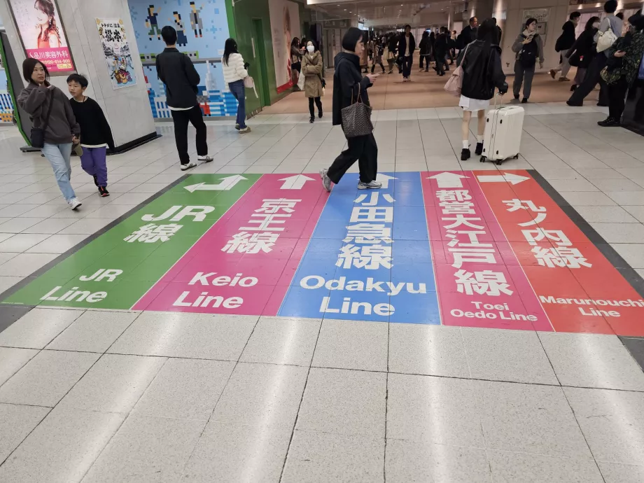 Orientation in Shinjuku Station