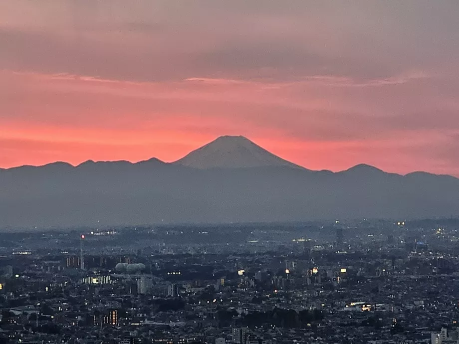 Mount Fuji from Tokyo Metropolitan Government Building