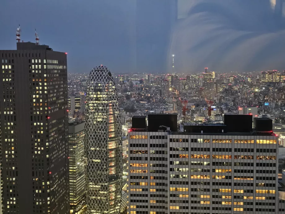 Tokyo Metropolitan Government Building