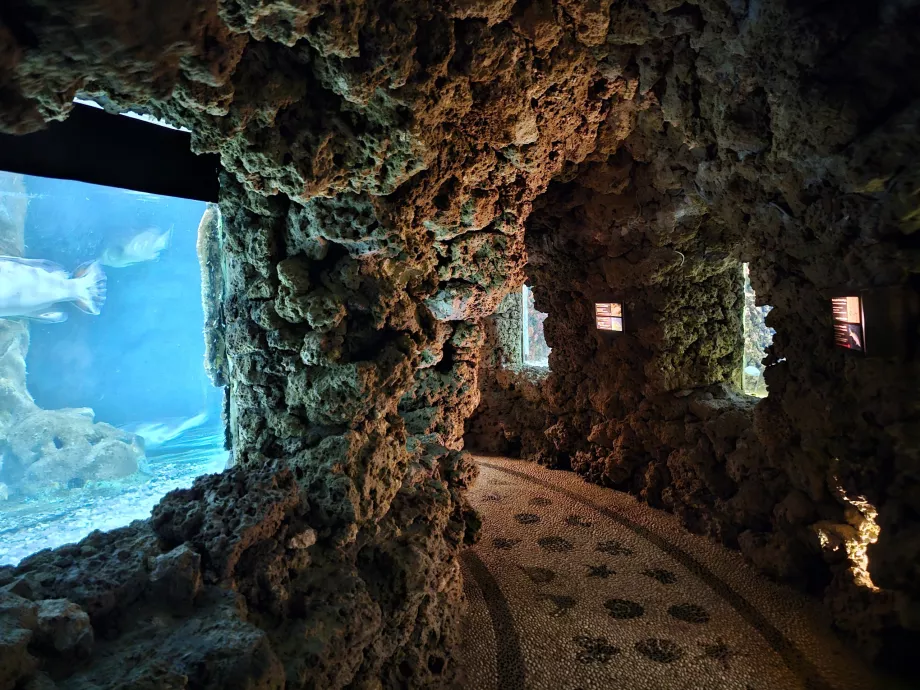Rhodes Aquarium