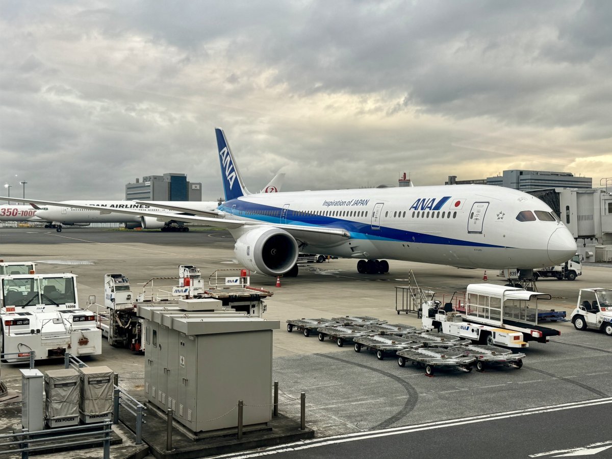 All Nippon Airlines Online Check In www.cestee.com