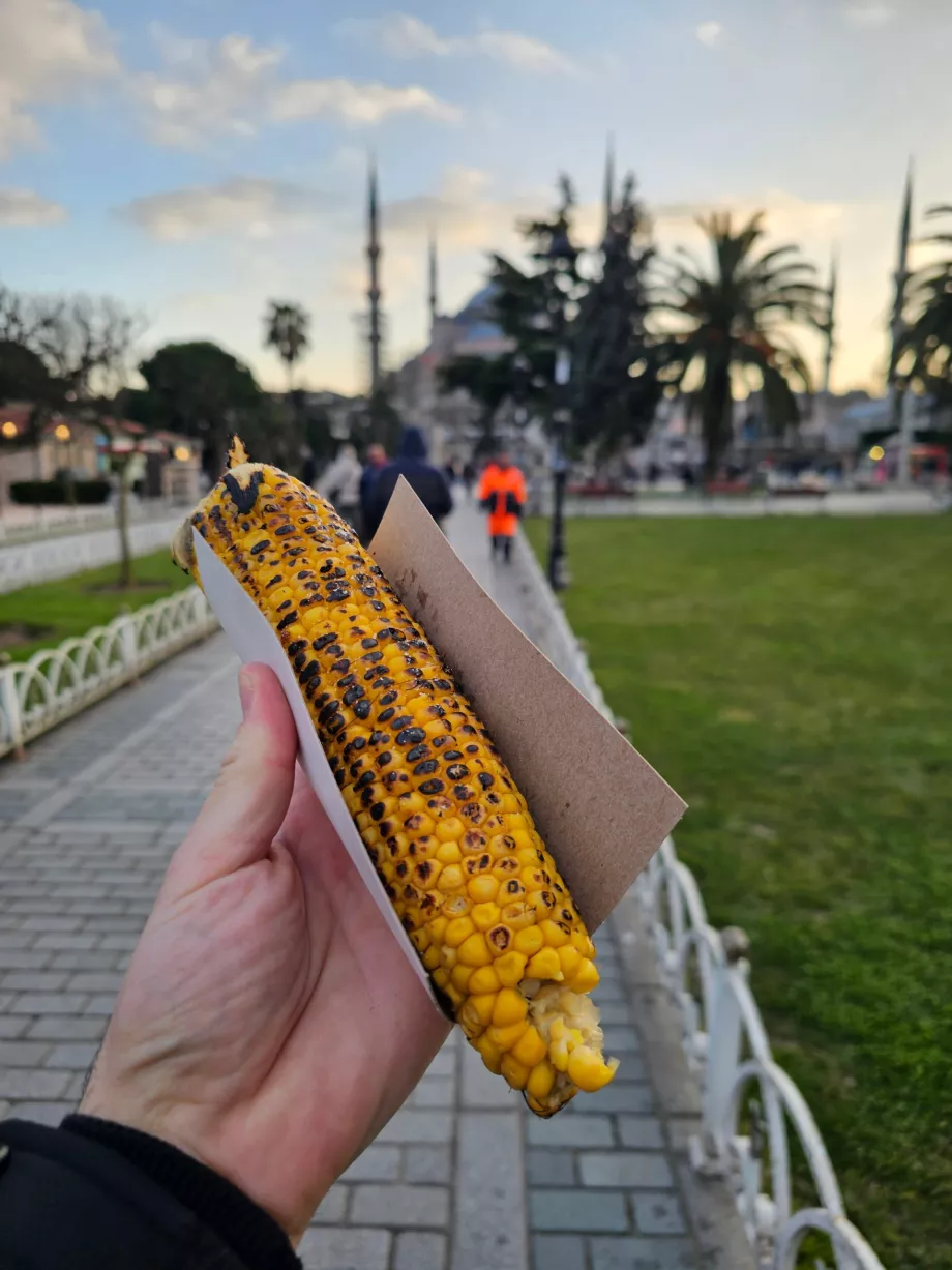 Maize at the Blue Mosque
