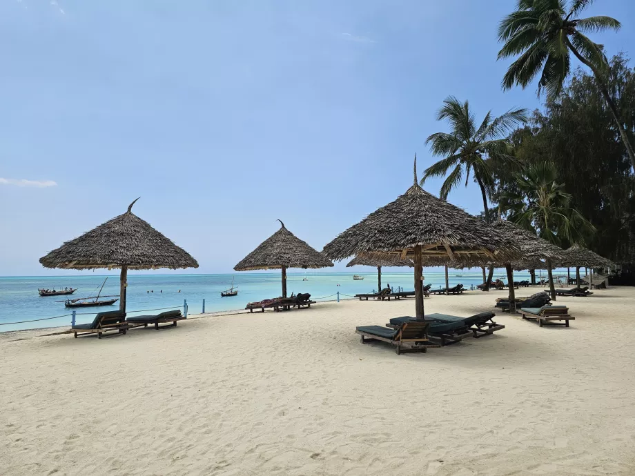 Sun loungers and parasols