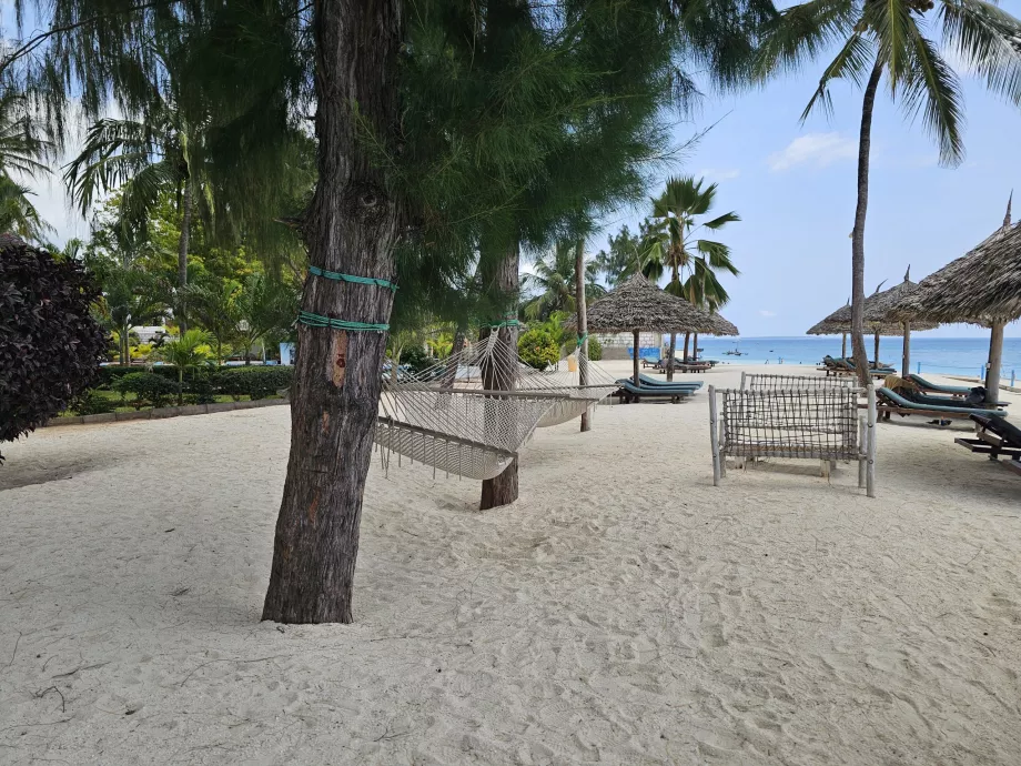 Sun loungers with parasols