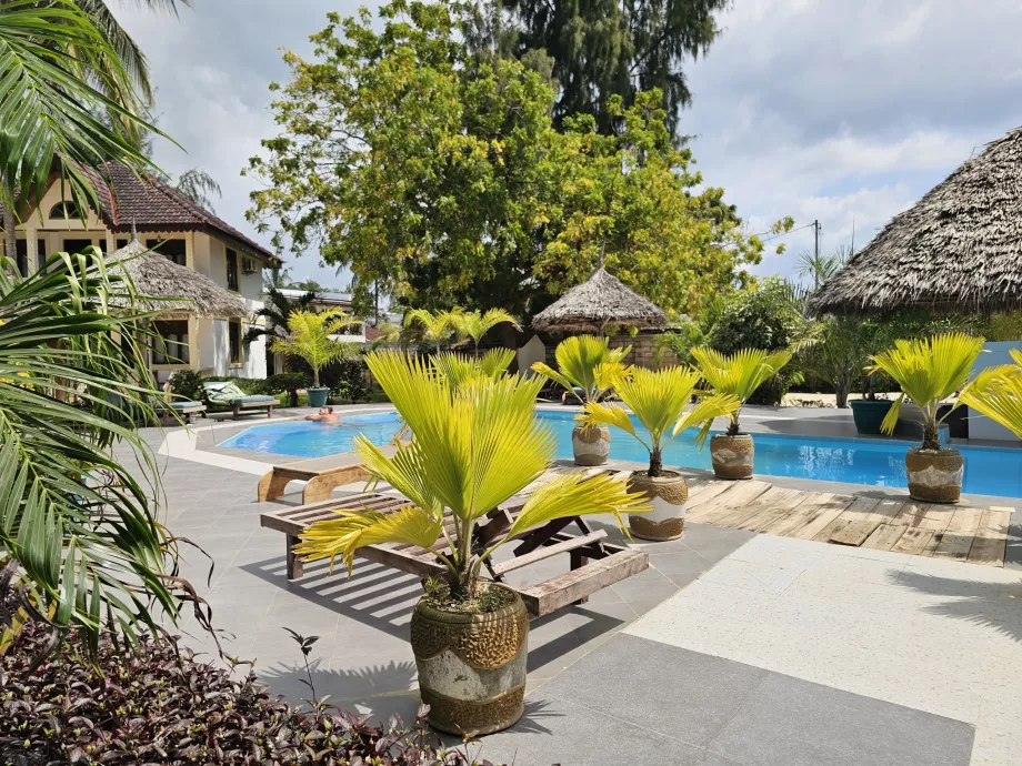 Swimming pool