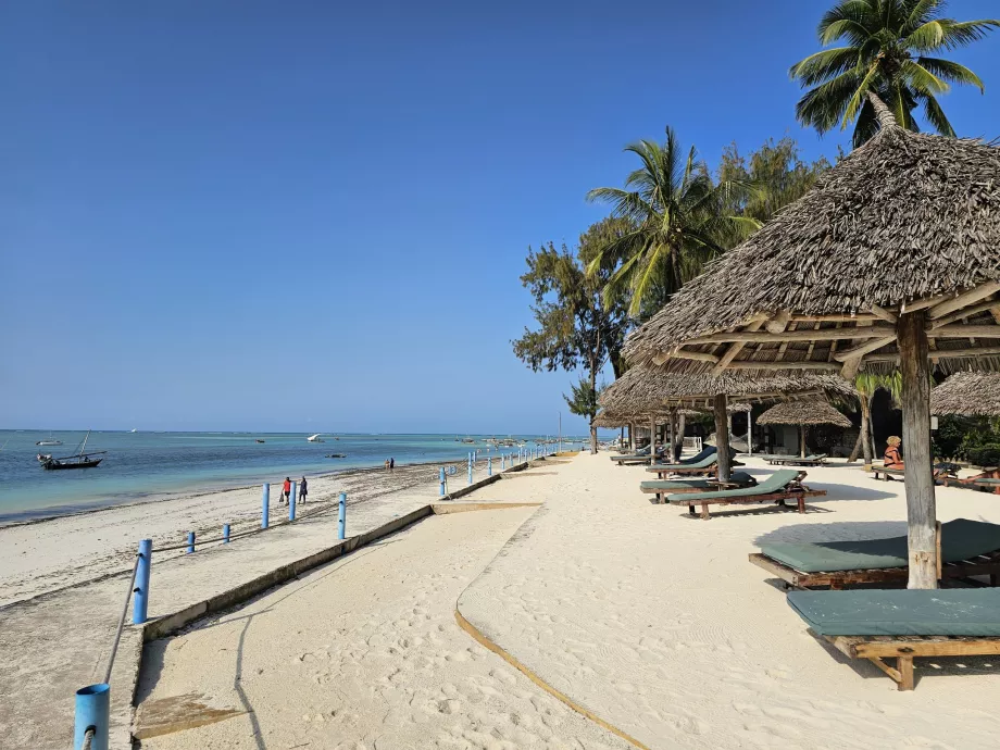 Sun loungers and parasols