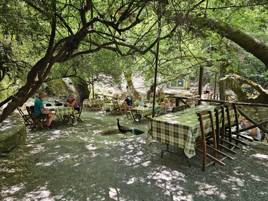 Restaurant at the Seven Springs