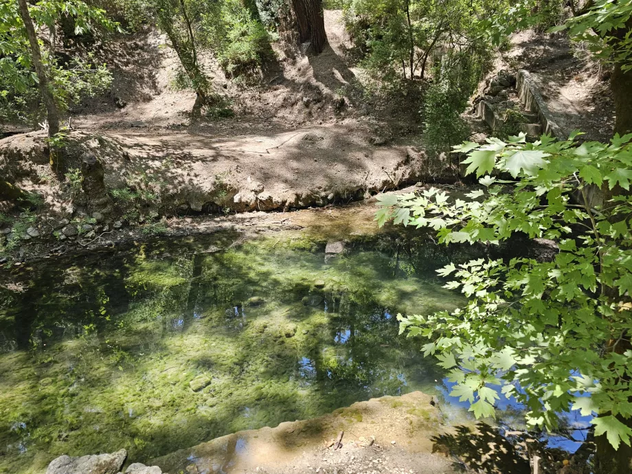 The Seven Springs
