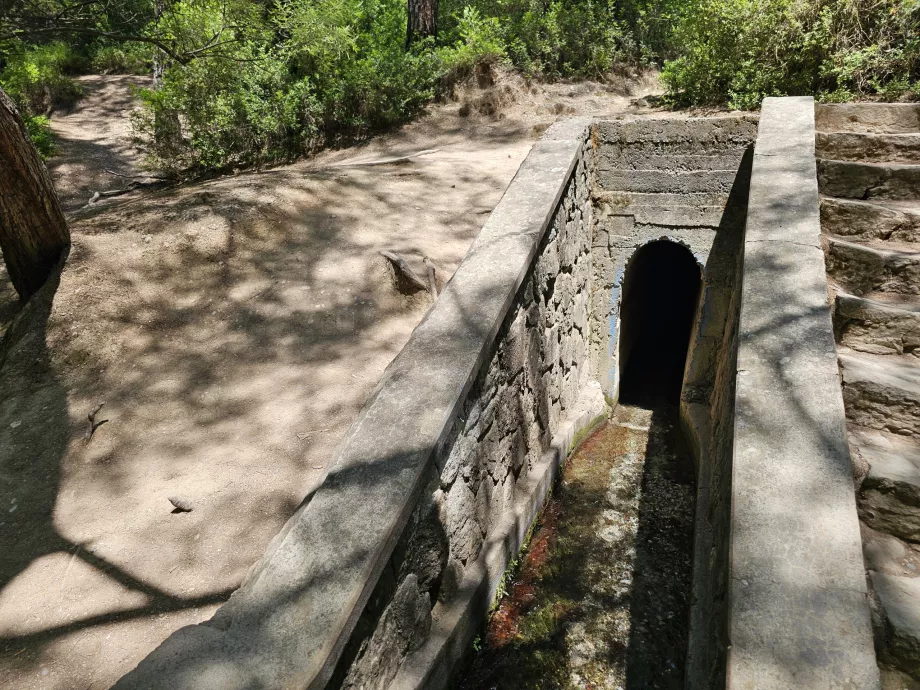 Tunnel at Seven Springs