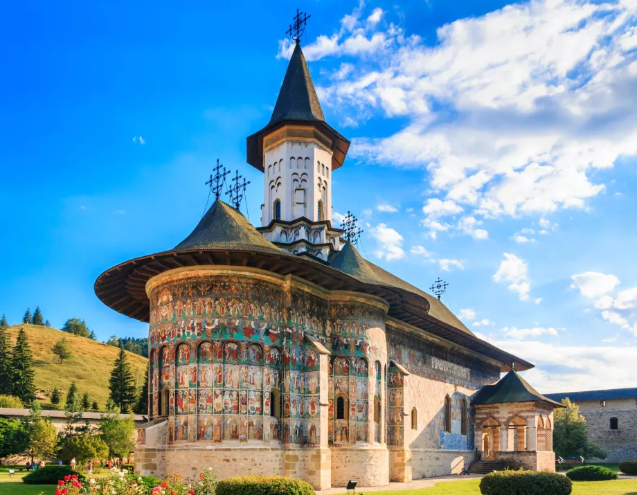 Suceava