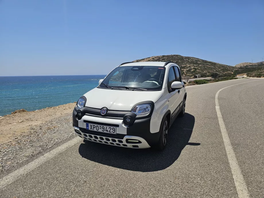 Car rental