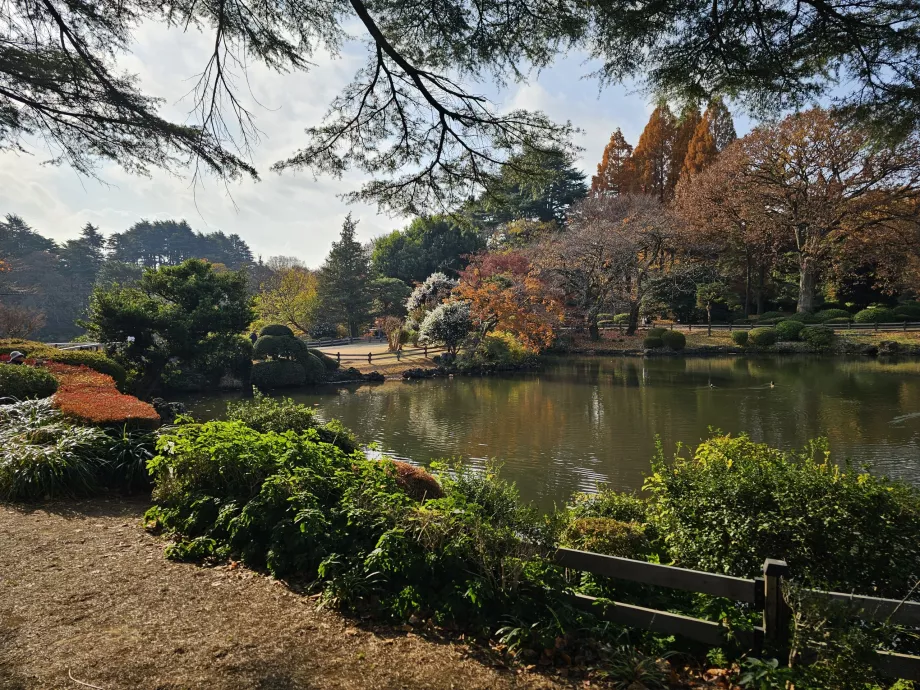 Shinjuku Gyoen National Garden