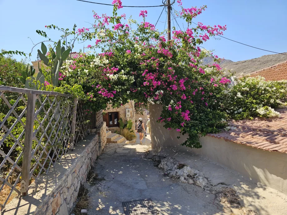 The small town of Chalki