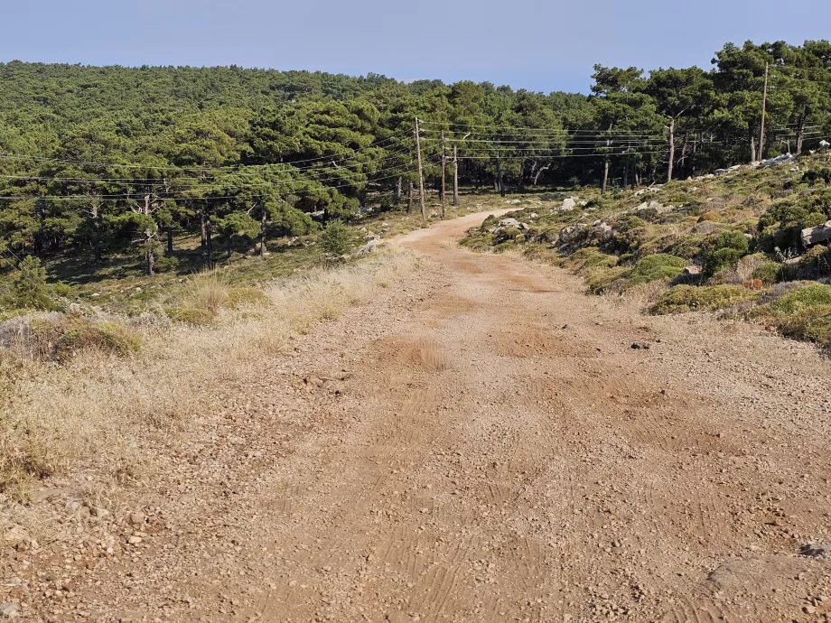 The road to Mount Atavyros
