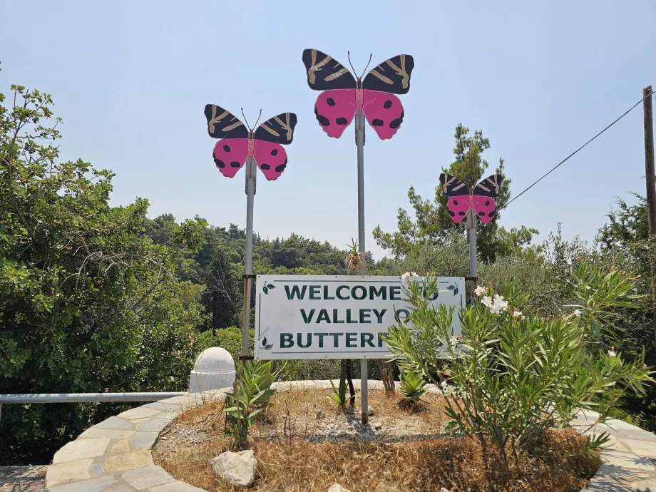 Valley of butterflies