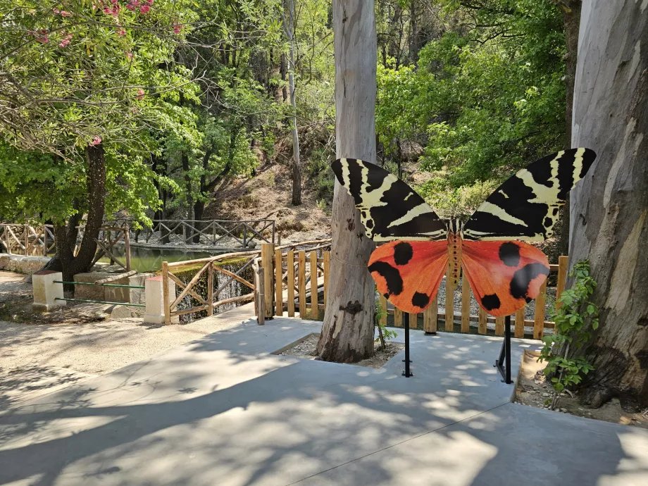 Valley of butterflies