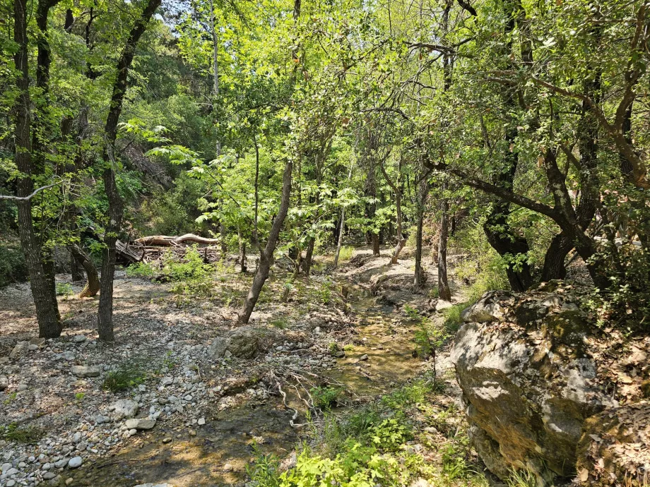 Valley of butterflies