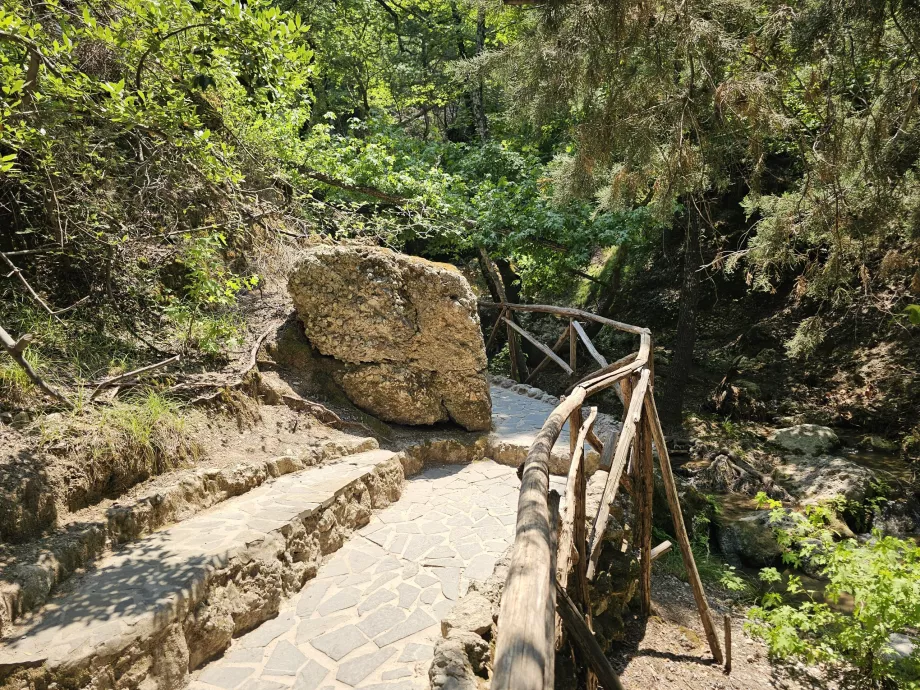Valley of butterflies