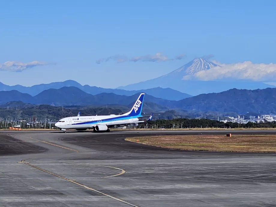 View from the observation deck