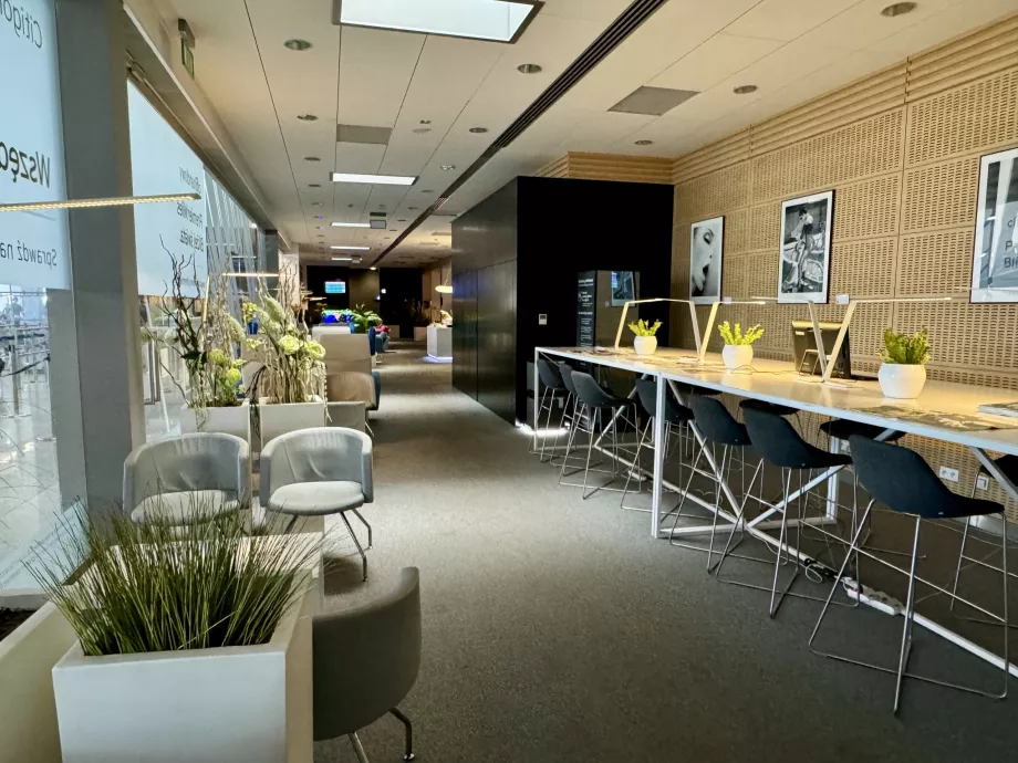 View of the entire lounge