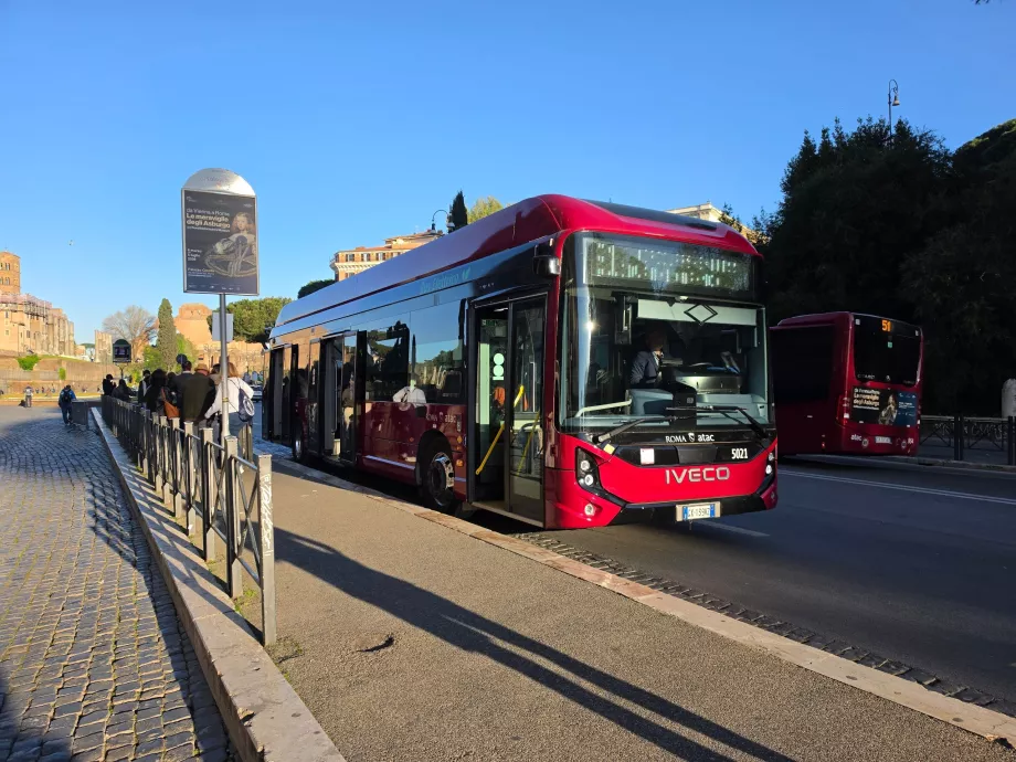 City buses in Rome