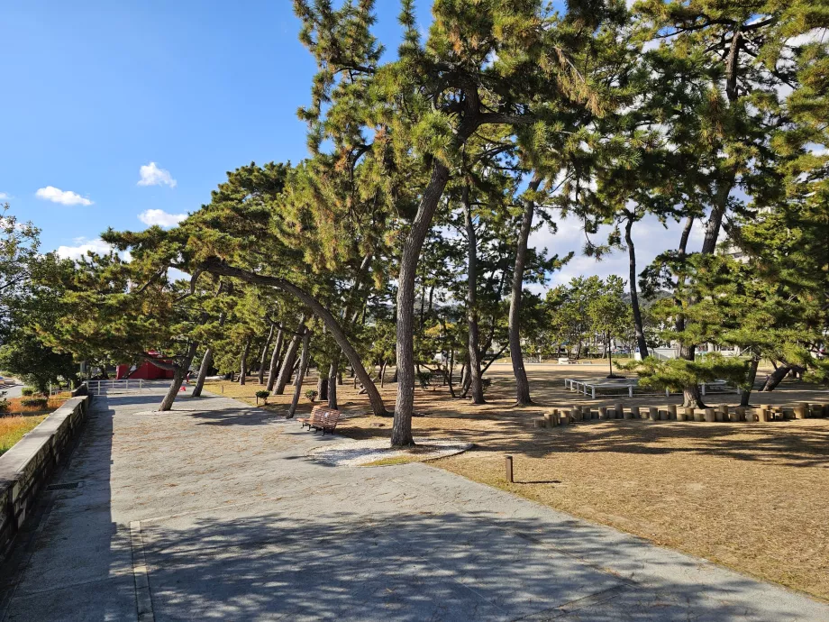 Park along Suma Beach