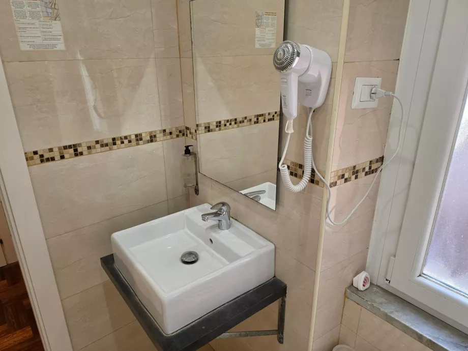 Sink with hair dryer