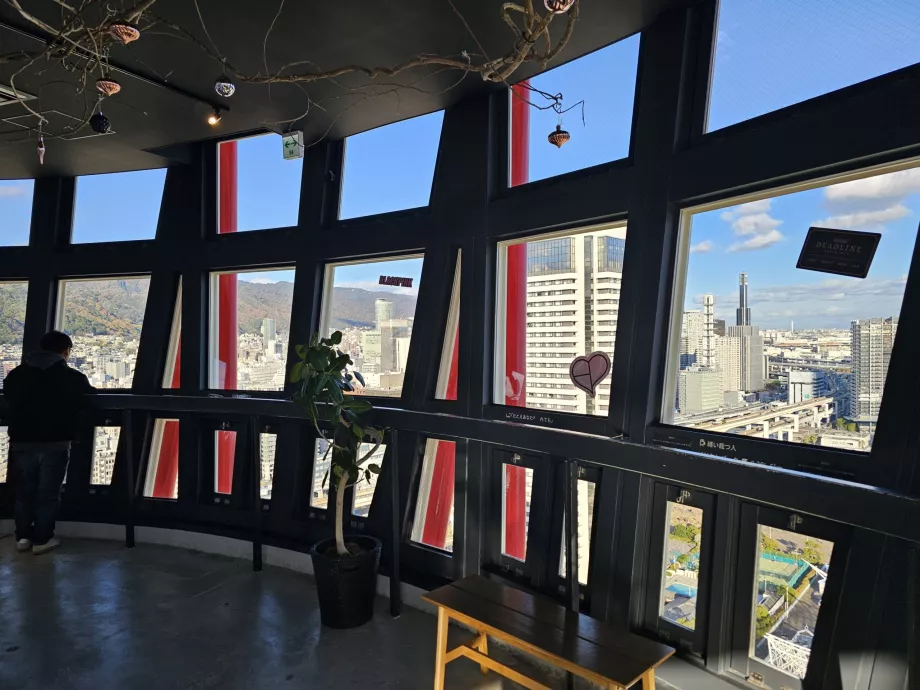 Main observation platform