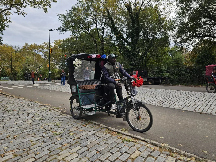 Rickshaw in Central Park