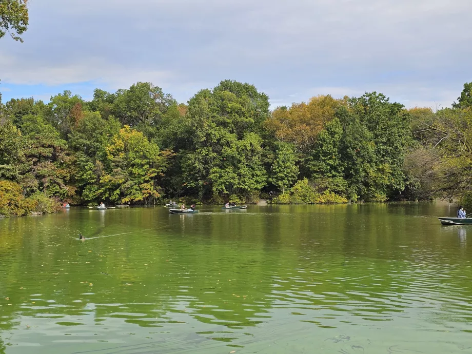 Lake in Central Park