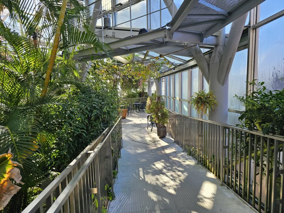 Greenhouse at Nunobiki Herb Gardens