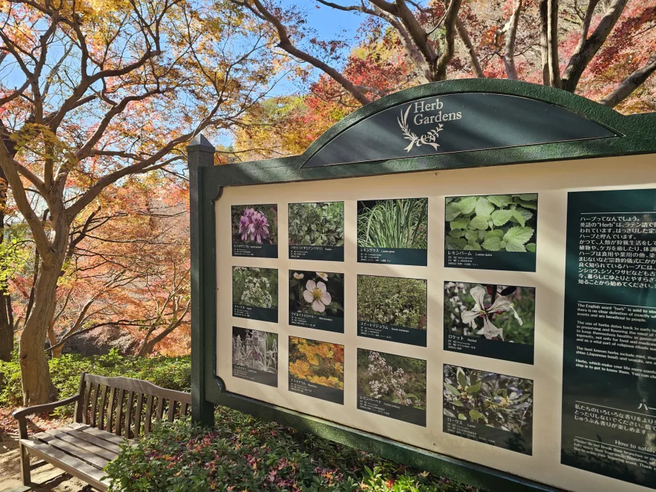 Nunobiki Herb Gardens