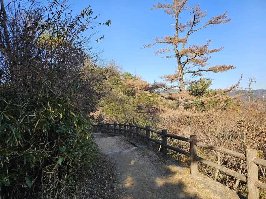 Hiking in the Rokko Mountains