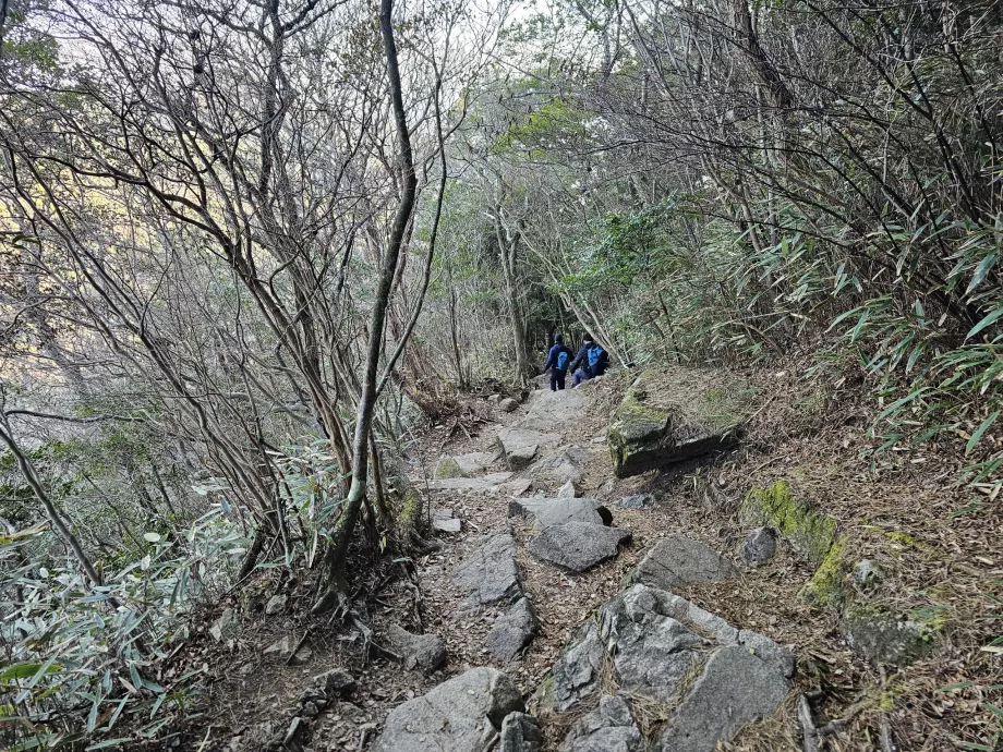 Hiking trail in the Rokko Mountains