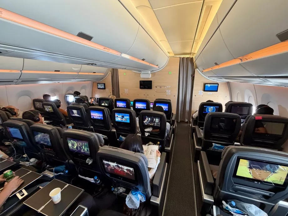 Premium Economy Class View
