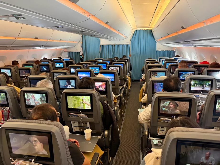 Economy Class View