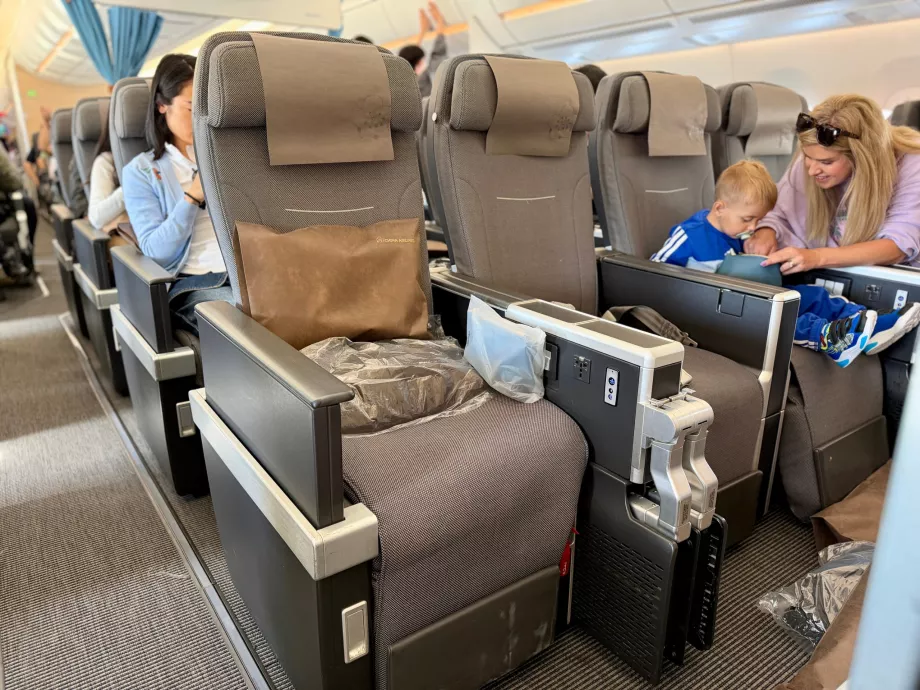 Seats in Premium Economy