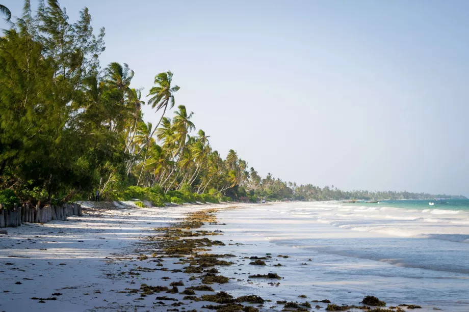 Bwejuu Beach