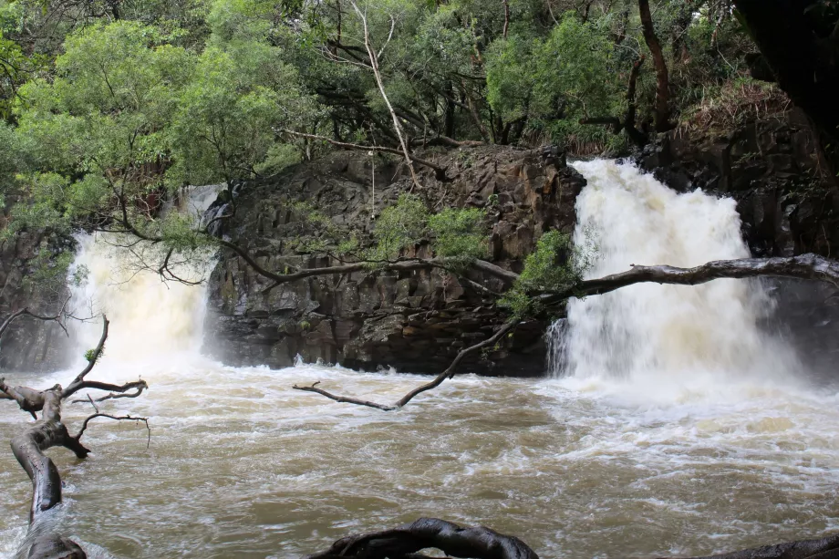 Twin Falls