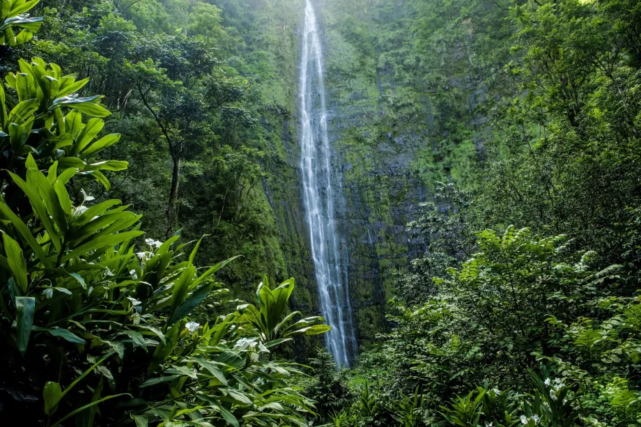 Waimoku Falls