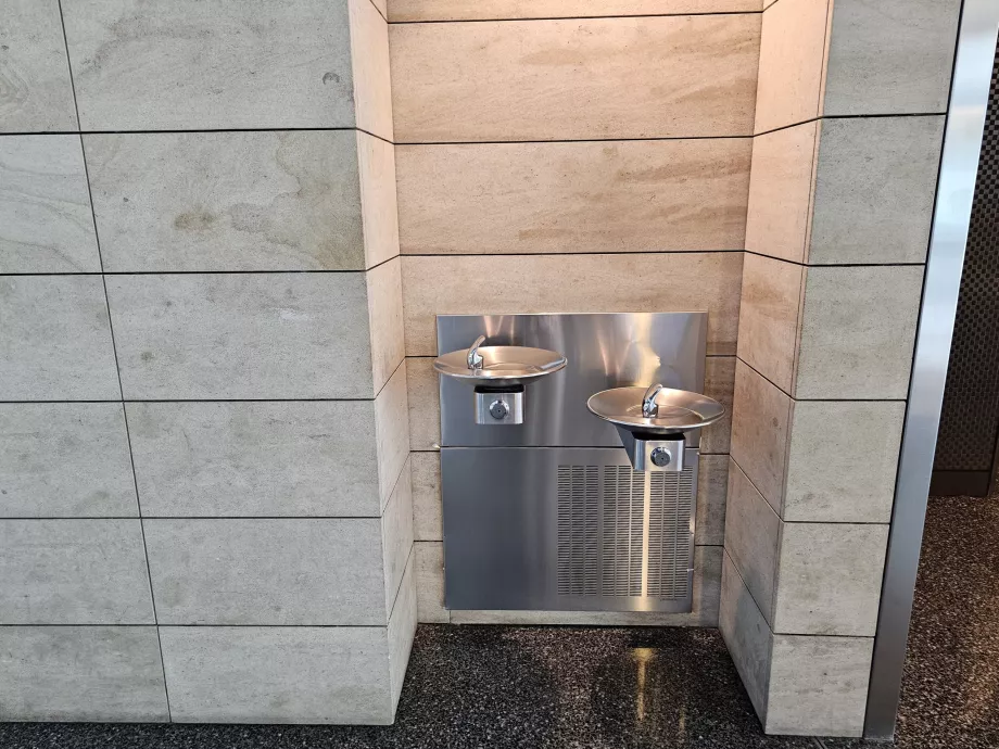 Drinking water