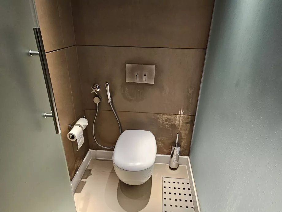 Toilet in room with shower