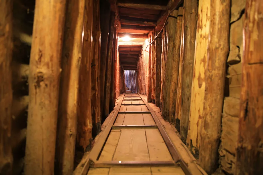 The Tunnel of Salvation