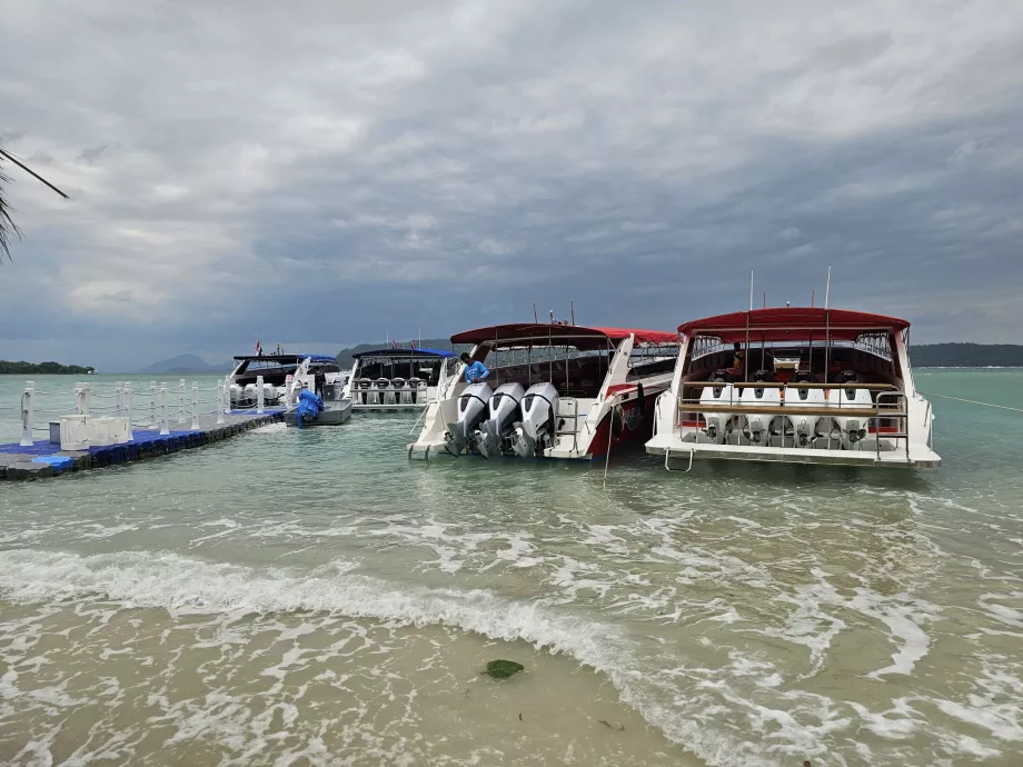 Tourist boats on Pig Island