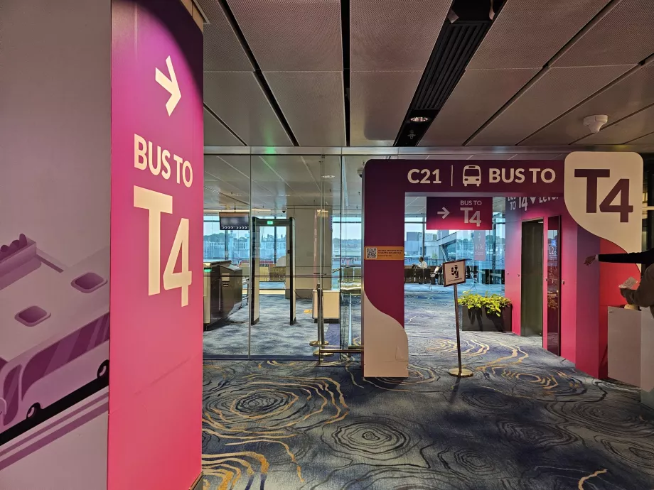 Transit bus from Terminal 1 to Terminal 4 (at Gate C21)